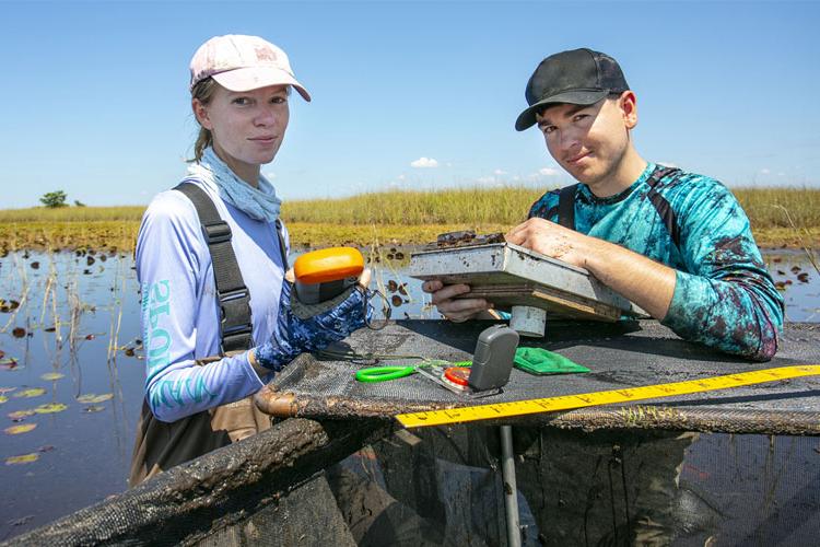 Grant for New School of Environmental, Coastal, and Ocean Sustainability